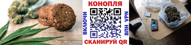 где купить   Шенкурск  ссылка на мегу зеркало  Canna-Cookies марихуана 