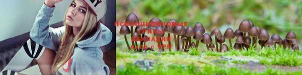 mdma Няндома