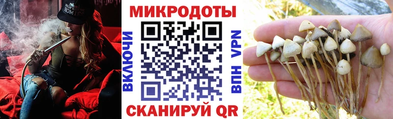 Псилоцибиновые грибы прущие грибы Шенкурск